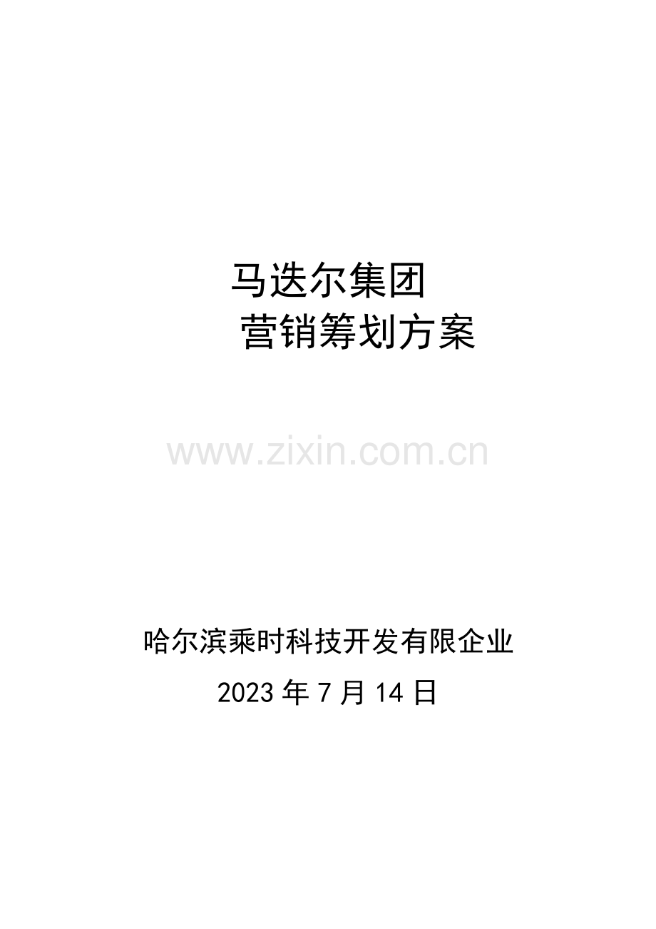 马迭尔集团微信营销方案.docx_第1页