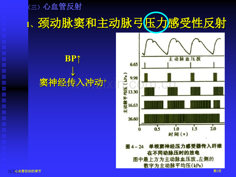 心血管活动的调节专家讲座.pptx_第3页