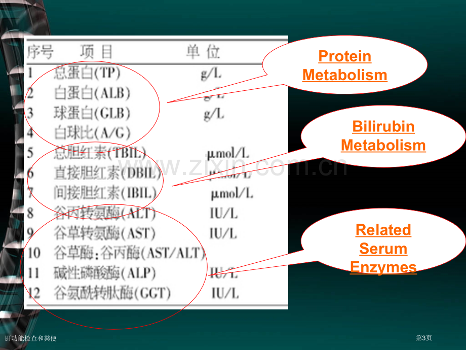 肝功能检查和粪便专家讲座.pptx_第3页