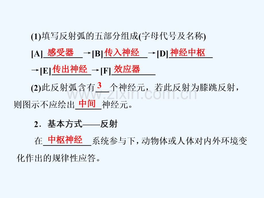 2016新课标高考生物总复习必修3通过神经系统的调节.pptx_第3页