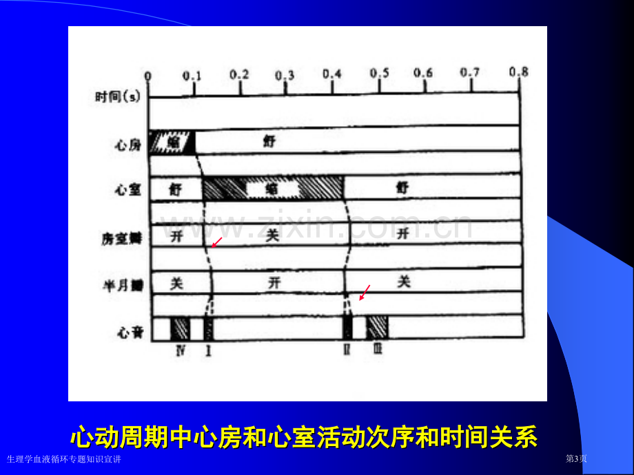 生理学血液循环专题知识宣讲专家讲座.pptx_第3页