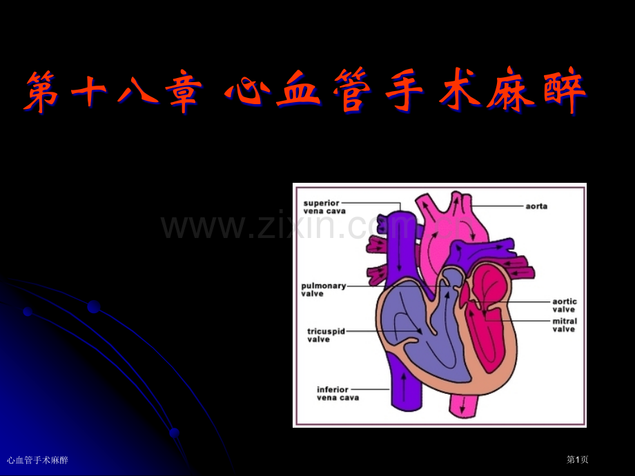 心血管手术麻醉专家讲座.pptx_第1页