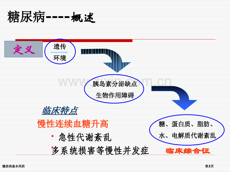 糖尿病基本用药专家讲座.pptx_第2页