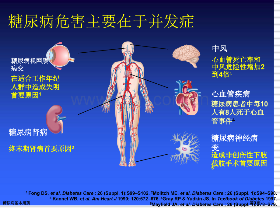 糖尿病基本用药专家讲座.pptx_第3页