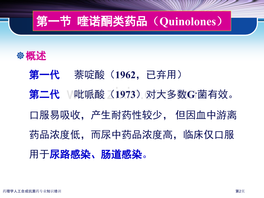 药理学人工合成抗菌药专业知识培训专家讲座.pptx_第2页