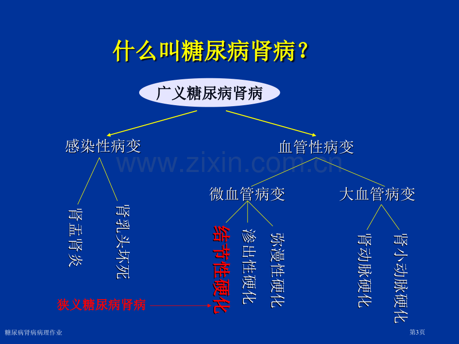 糖尿病肾病病理作业专家讲座.pptx_第3页