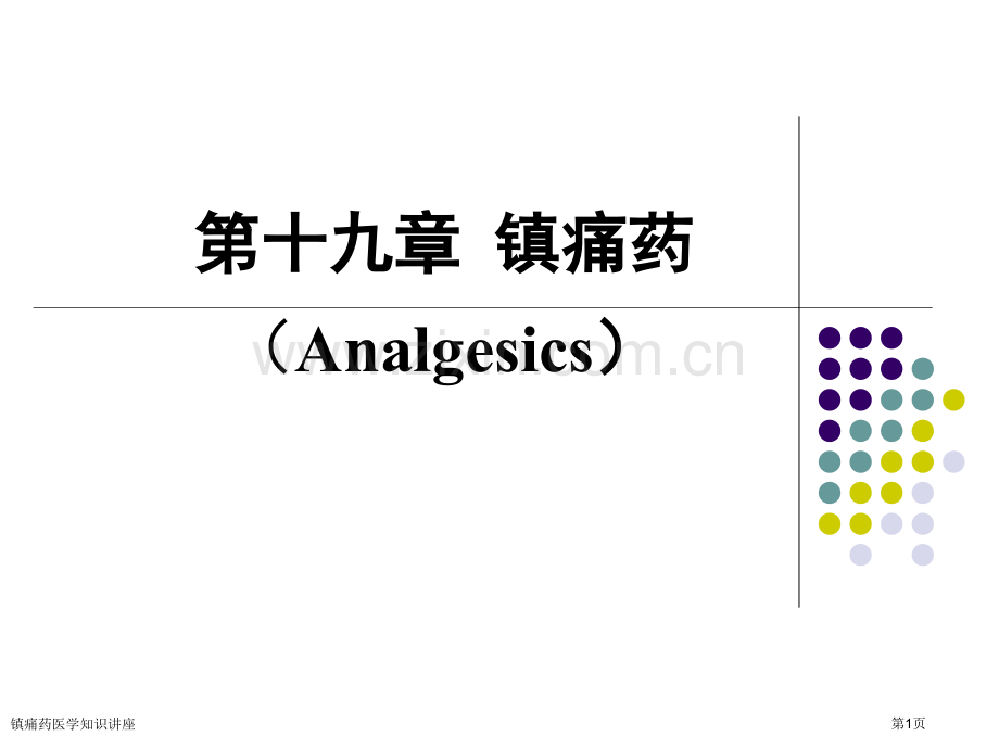 镇痛药医学知识讲座专家讲座.pptx_第1页