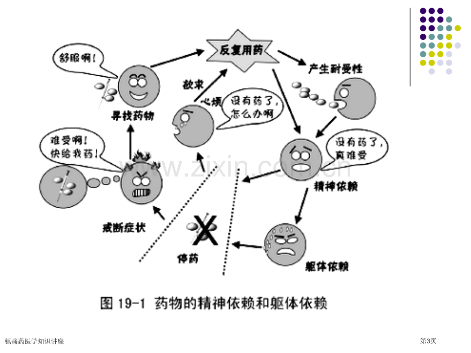 镇痛药医学知识讲座专家讲座.pptx_第3页