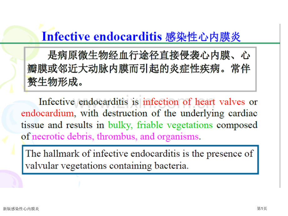 新版感染性心内膜炎.pptx_第1页