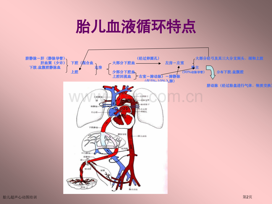 胎儿超声心动图培训专家讲座.pptx_第2页