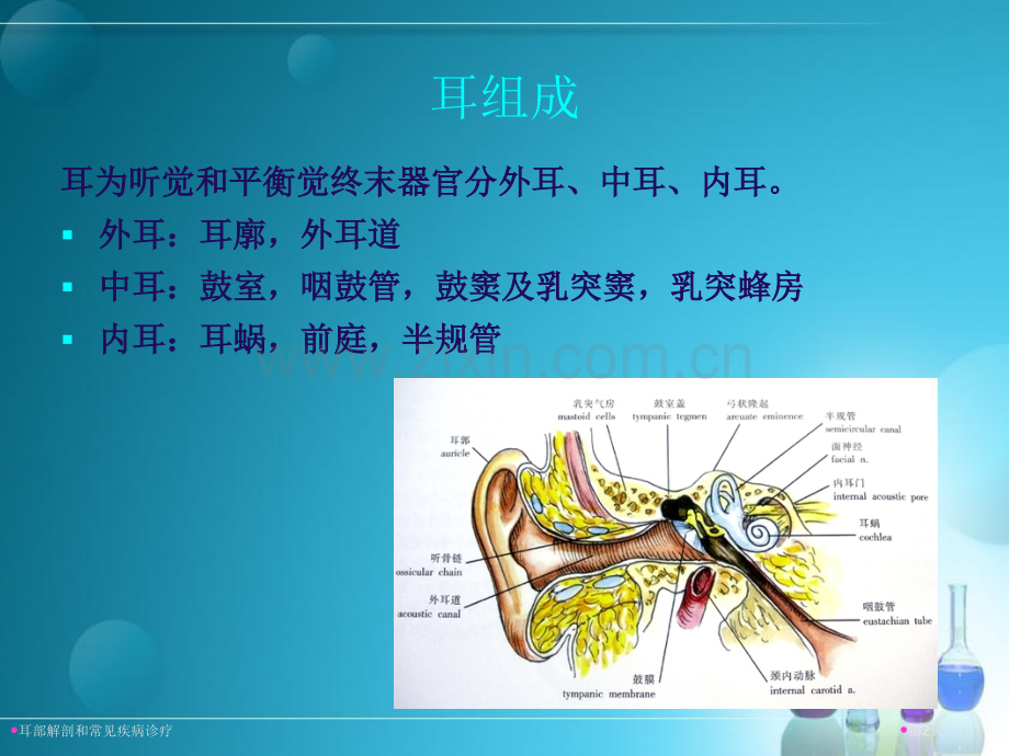 耳部解剖和常见疾病诊疗专家讲座.pptx_第2页