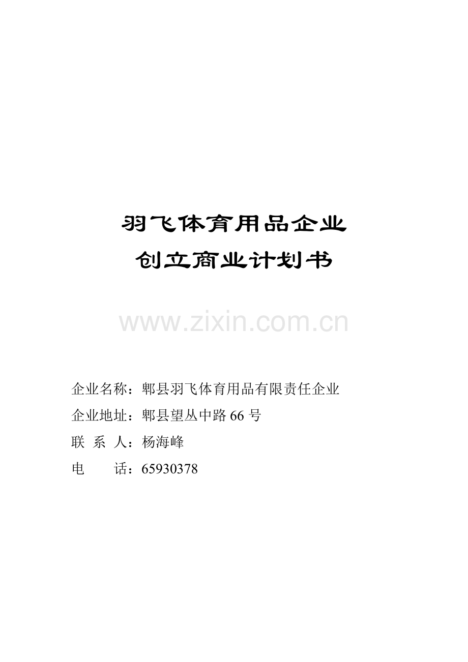 羽飞体育用品公司创建商业计划书.doc_第1页