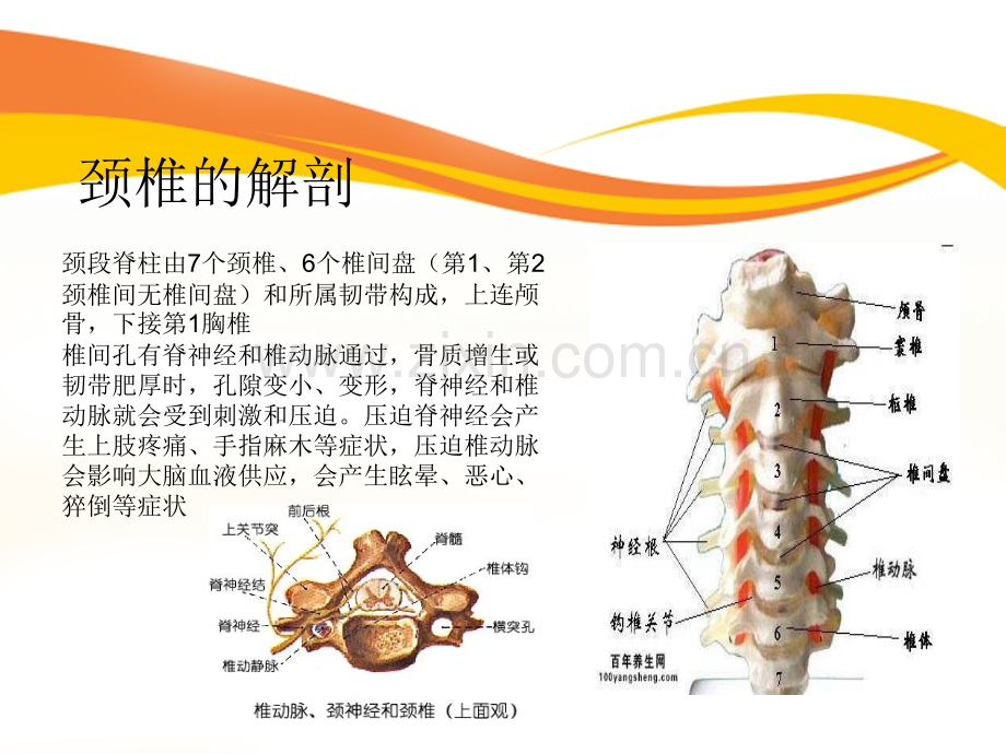 201610颈椎病的护理.pptx_第3页