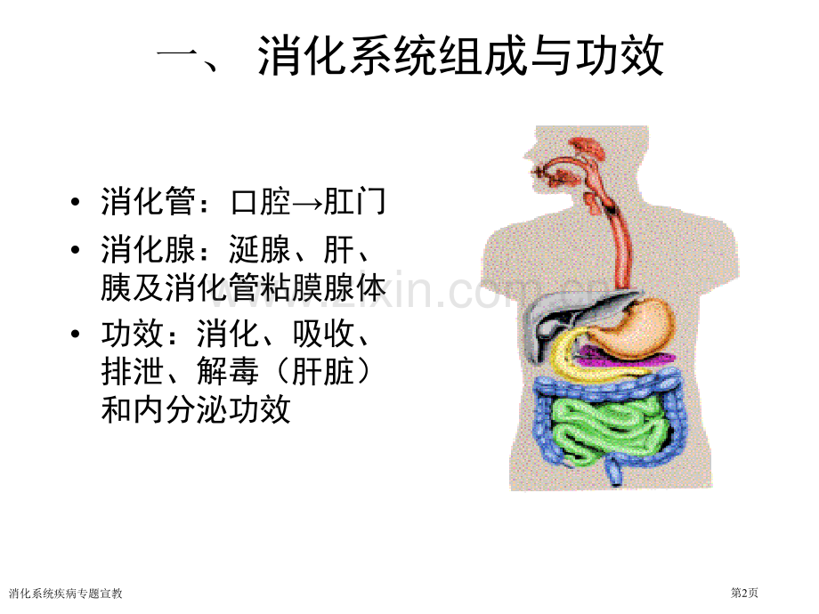 消化系统疾病专题宣教专家讲座.pptx_第2页