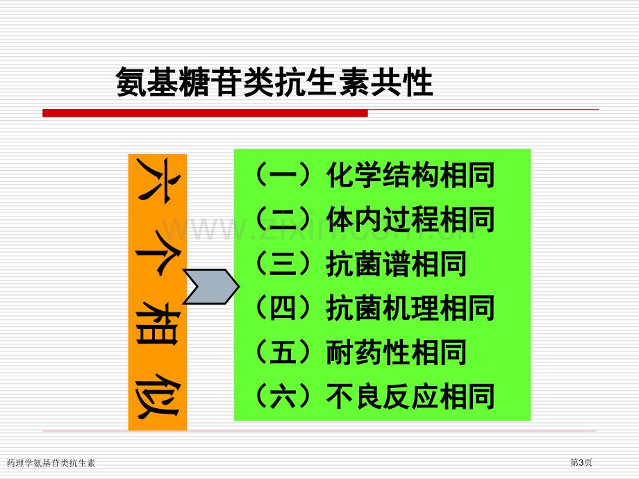 药理学氨基苷类抗生素专家讲座.pptx_第3页