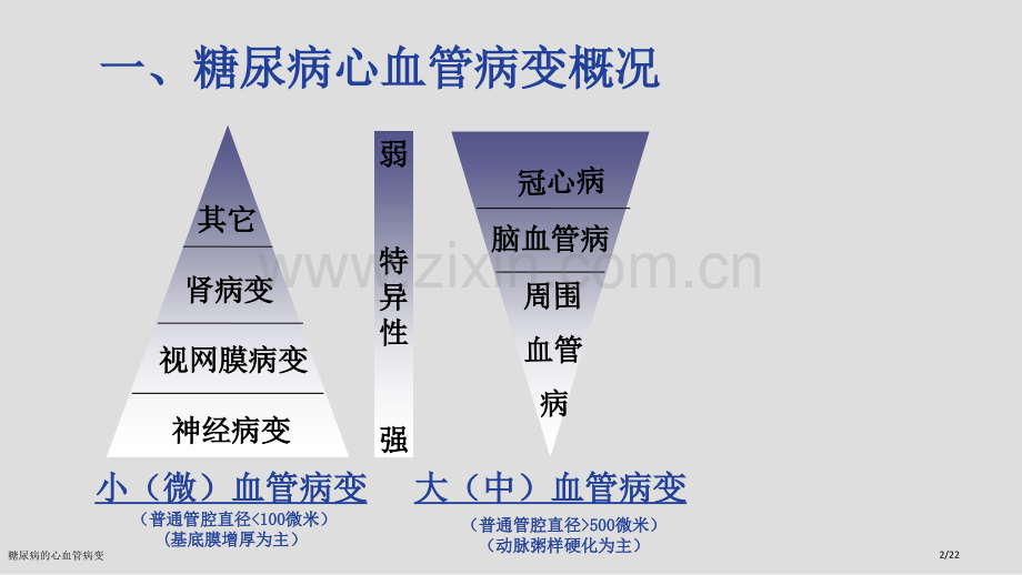 糖尿病的心血管病变.pptx_第2页