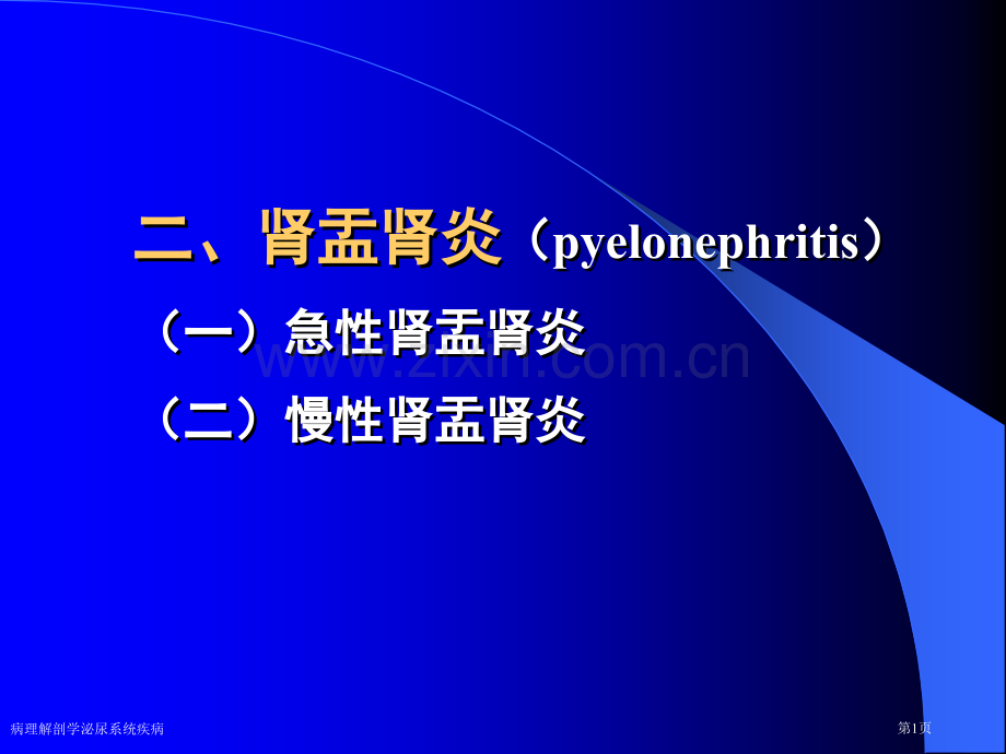 病理解剖学泌尿系统疾病专家讲座.pptx_第1页