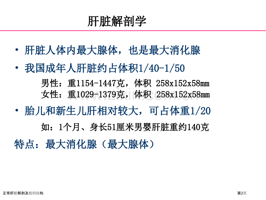 正常肝脏解剖及组织结构专家讲座.pptx_第2页