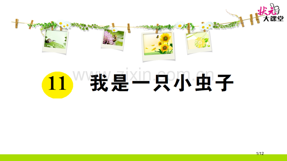 我是一只小虫子市名师优质课赛课一等奖市公开课获奖课件.pptx_第1页