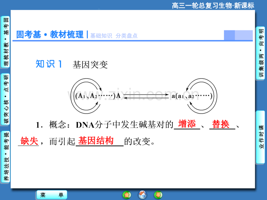 2015高考生物大一轮复习配套必修2基因突变和基因重组.pptx_第3页