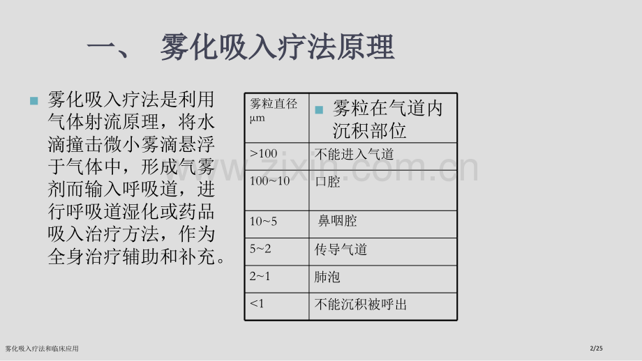 雾化吸入疗法和临床应用.pptx_第2页