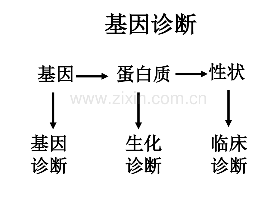 12基因诊断与基因治疗1.pptx_第3页