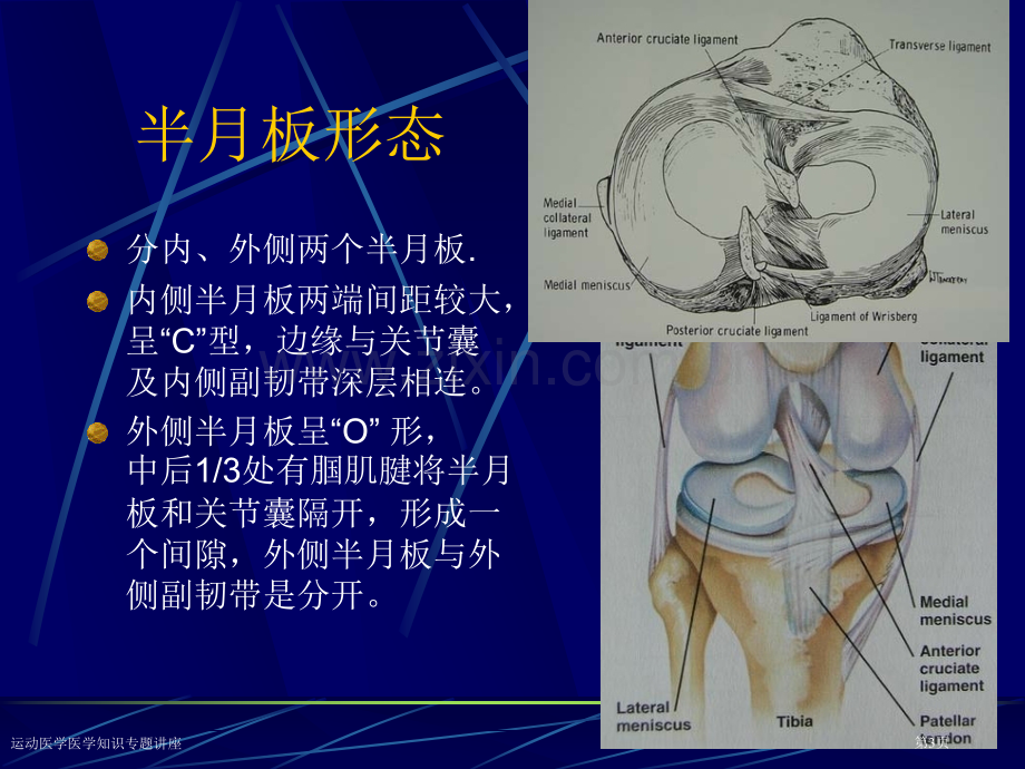 运动医学医学知识专题讲座专家讲座.pptx_第3页