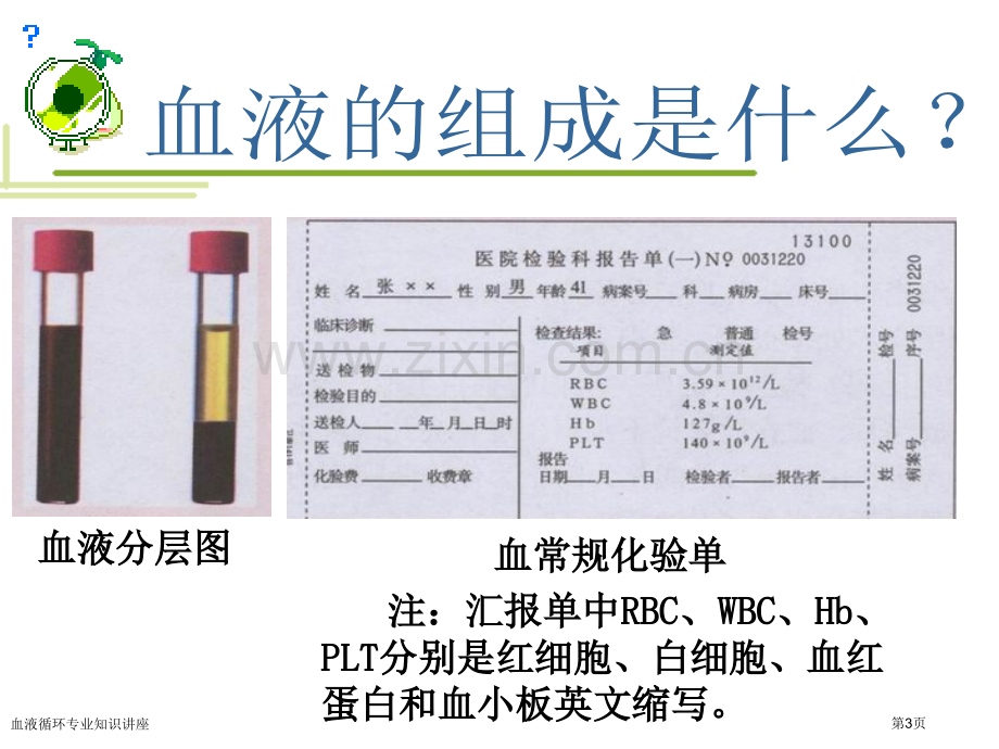 血液循环专业知识讲座专家讲座.pptx_第3页