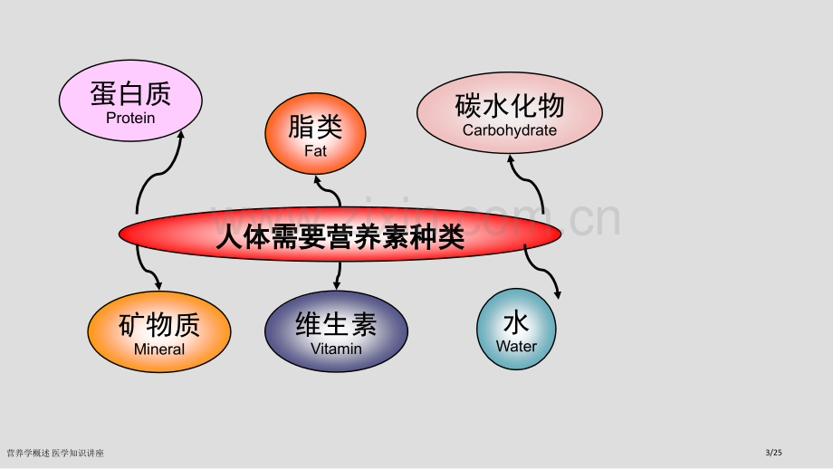 营养学概述-医学知识讲座.pptx_第3页