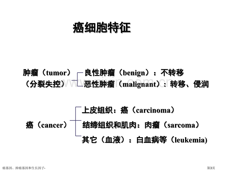 癌基因、抑癌基因和生长因子-专家讲座.pptx_第3页