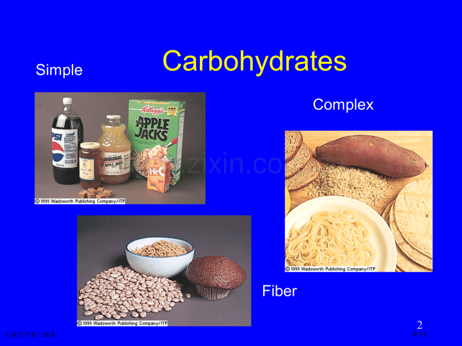 宏量营养素与能量专家讲座.pptx_第3页