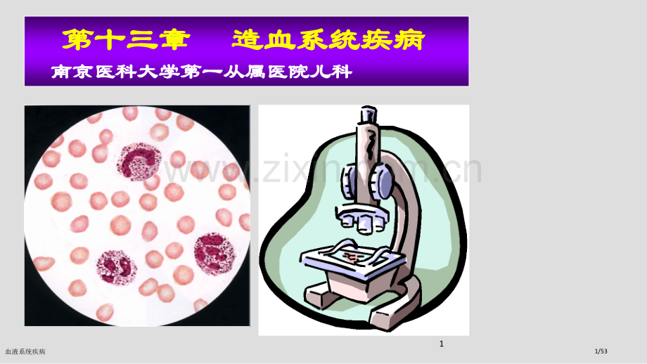 血液系统疾病.pptx_第1页