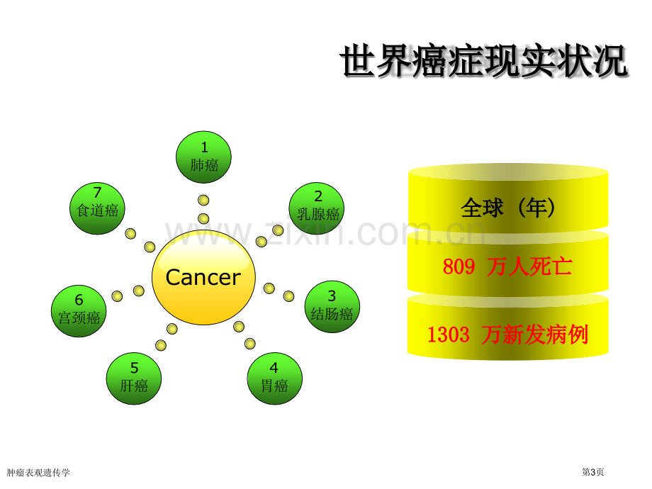 肿瘤表观遗传学专家讲座.pptx_第3页