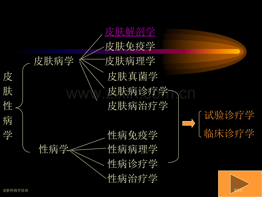 皮肤性病学培训专家讲座.pptx_第2页