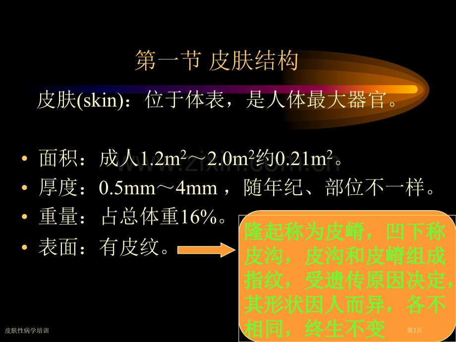 皮肤性病学培训专家讲座.pptx_第3页