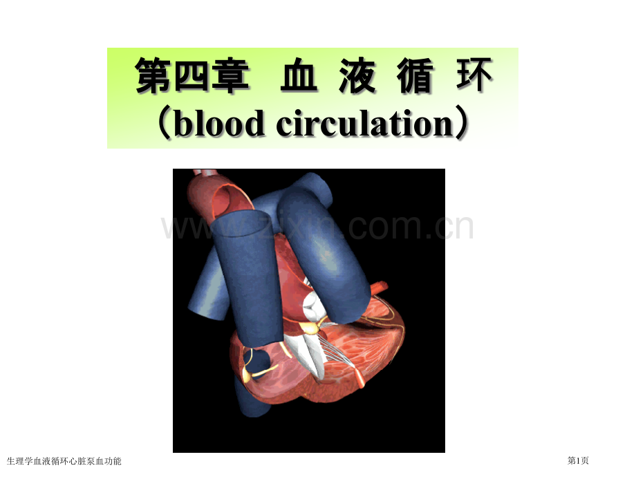 生理学血液循环心脏泵血功能专家讲座.pptx_第1页