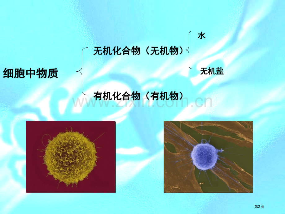 有机化合物和生物大分子公开课一等奖优质课大赛微课获奖课件.pptx_第2页