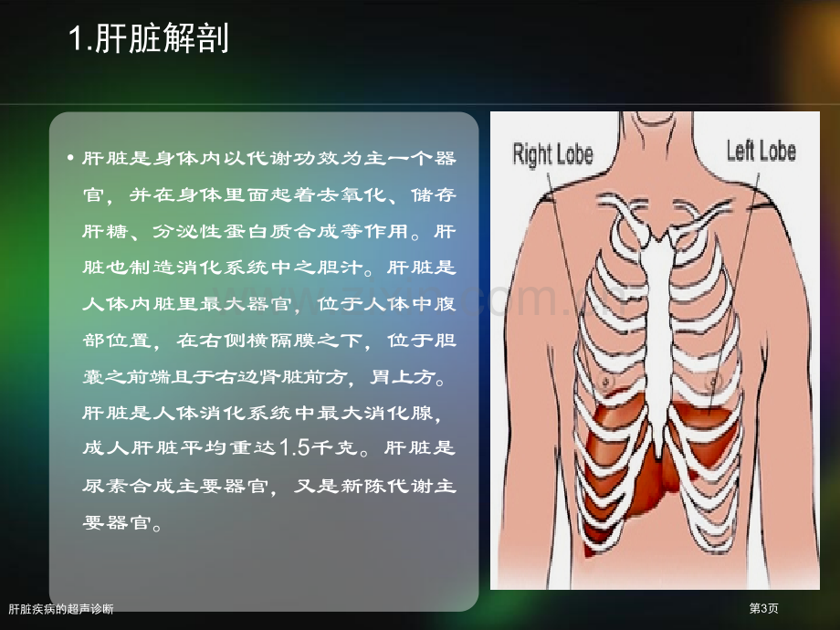 肝脏疾病的超声诊断.pptx_第3页