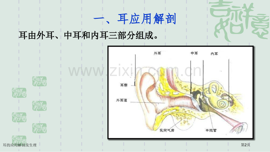 耳的应用解剖及生理.pptx_第2页