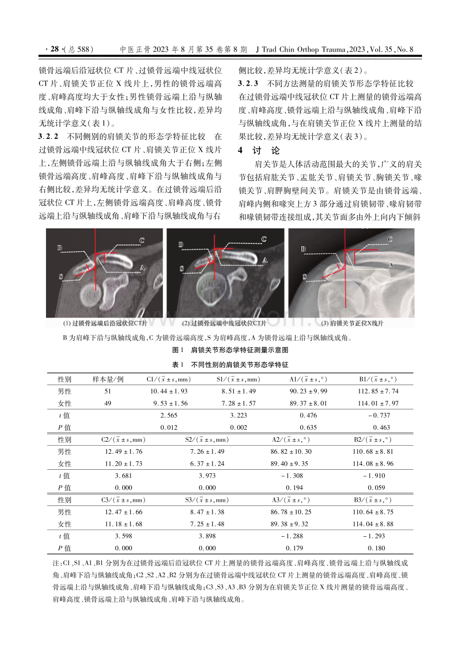 肩锁关节的形态学特征研究.pdf_第3页