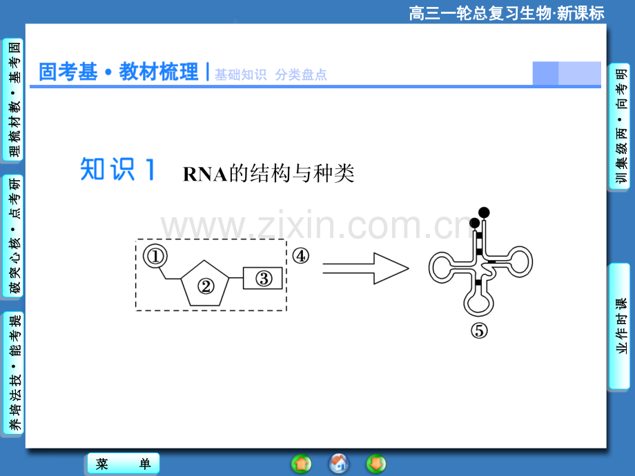 2015课堂新坐标高考生物大一轮复习配套必修2-基因的表达.pptx_第2页