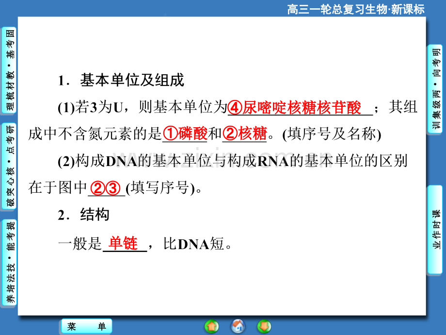 2015课堂新坐标高考生物大一轮复习配套必修2-基因的表达.pptx_第3页