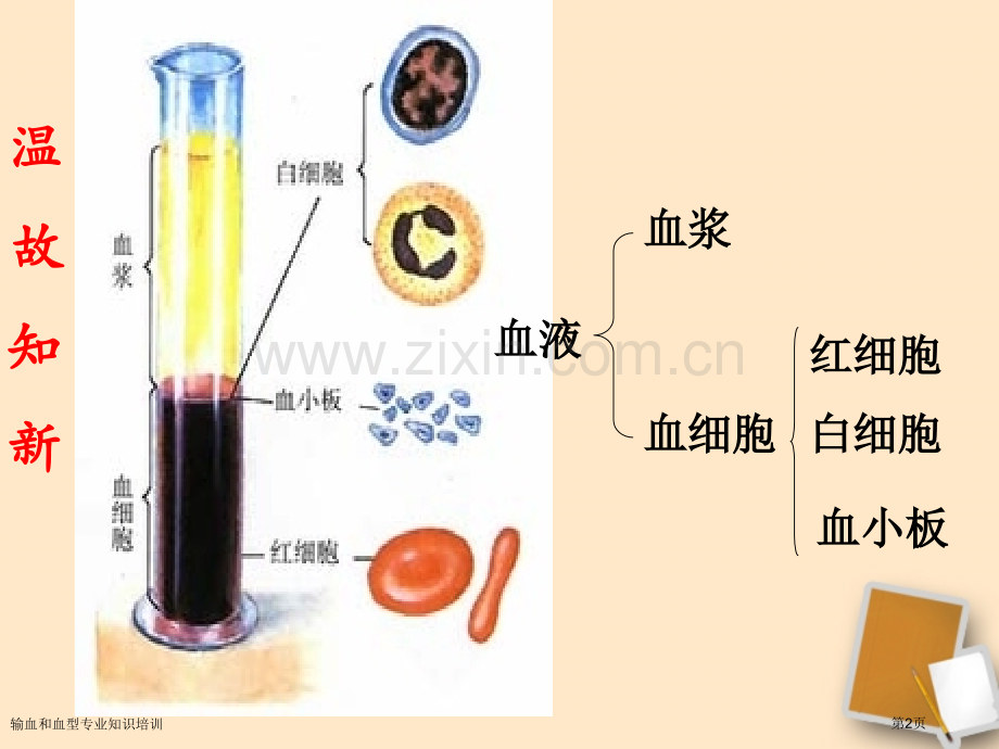 输血和血型专业知识培训专家讲座.pptx_第2页