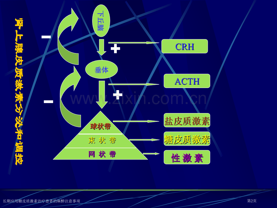 长期应用糖皮质激素治疗患者的麻醉注意事项专家讲座.pptx_第2页