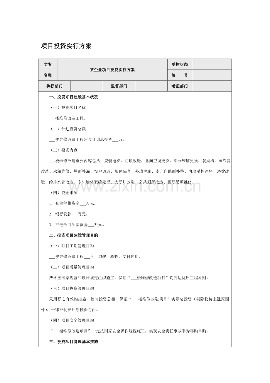 项目投资实施方案.doc_第1页