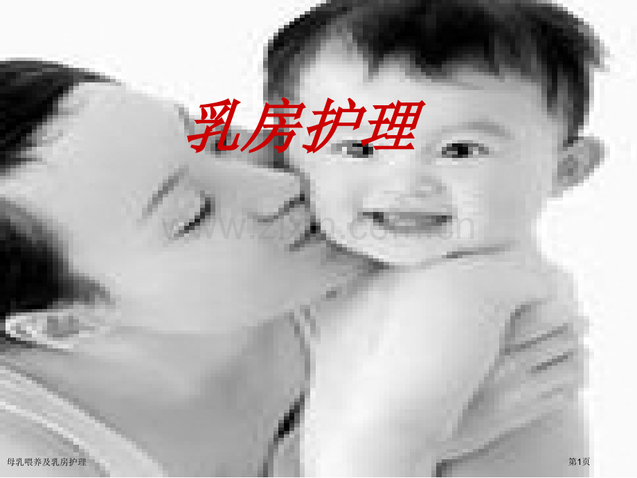 母乳喂养及乳房护理.pptx_第1页