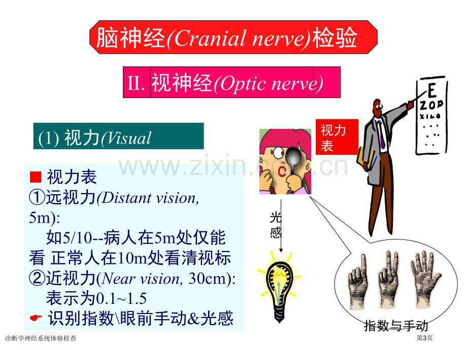 诊断学神经系统体格检查专家讲座.pptx_第3页