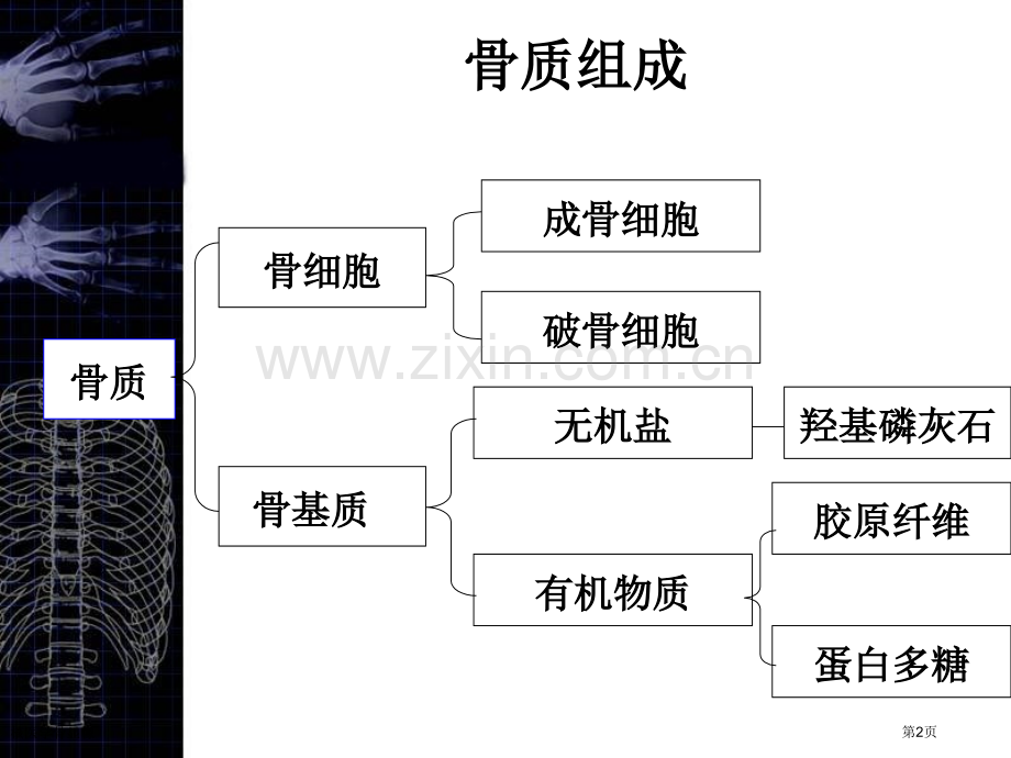 核医学骨显像专家讲座.pptx_第2页