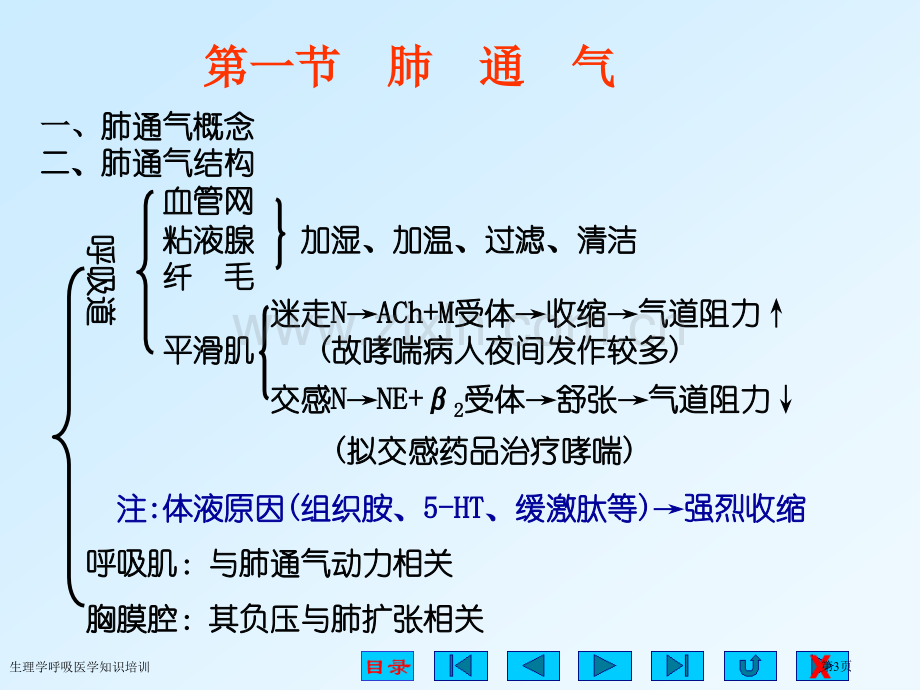 生理学呼吸医学知识培训专家讲座.pptx_第3页