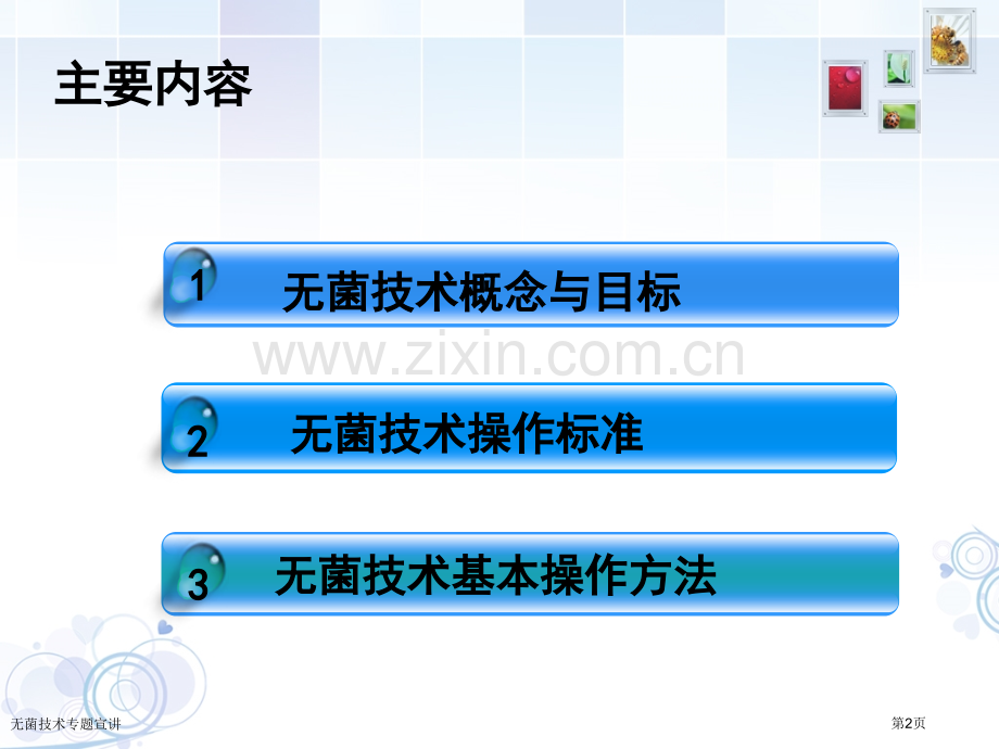 无菌技术专题宣讲.pptx_第2页